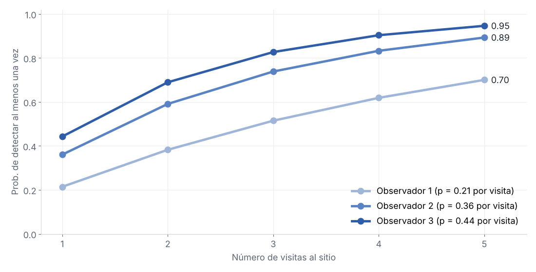 Probabilidad de detectar al menos una vez a la weta en un sitio ocupado según el número de visitas, para cada observador en las condiciones del día 1: con cinco visitas llega a 0.70, 0.89 y 0.95
